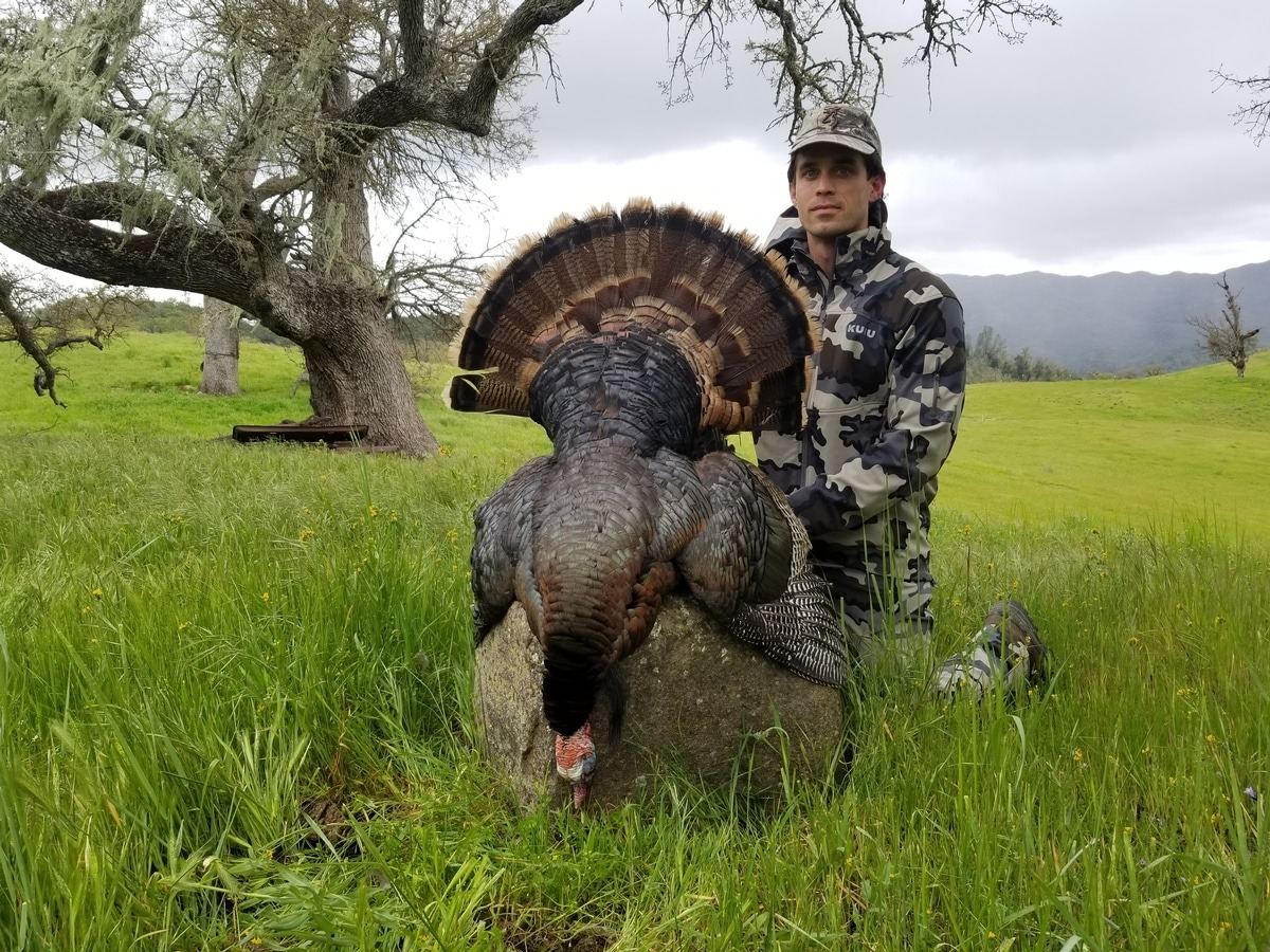 Combo hunt turkey taken under a Central Coast oak