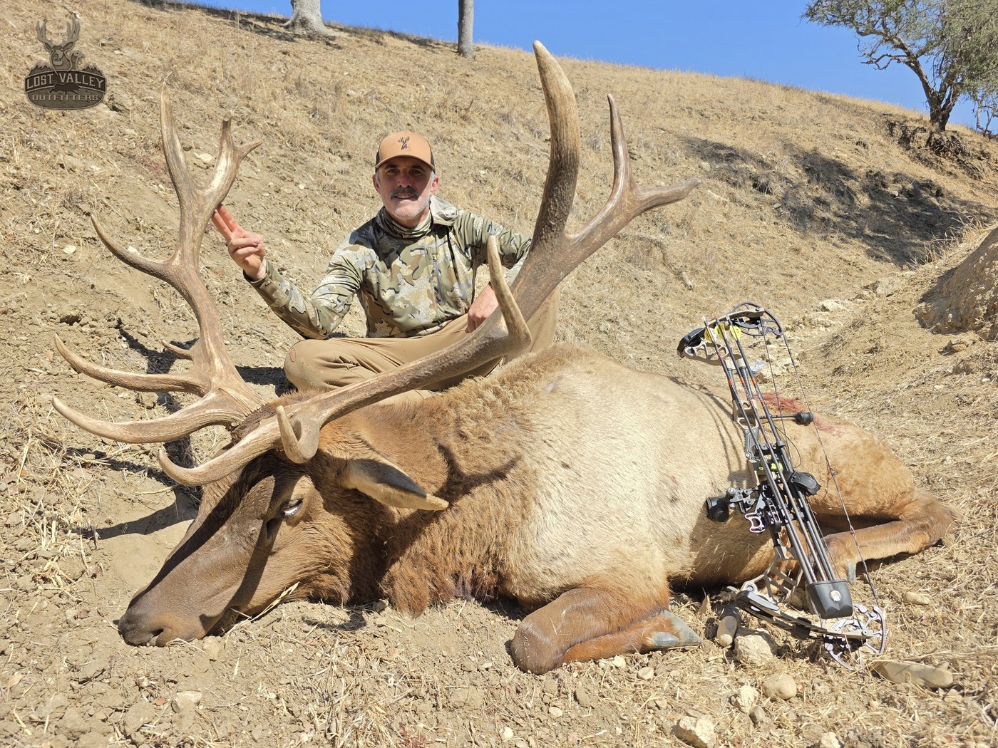 Trophy Tule elk bull taken on a Central Coast hillside