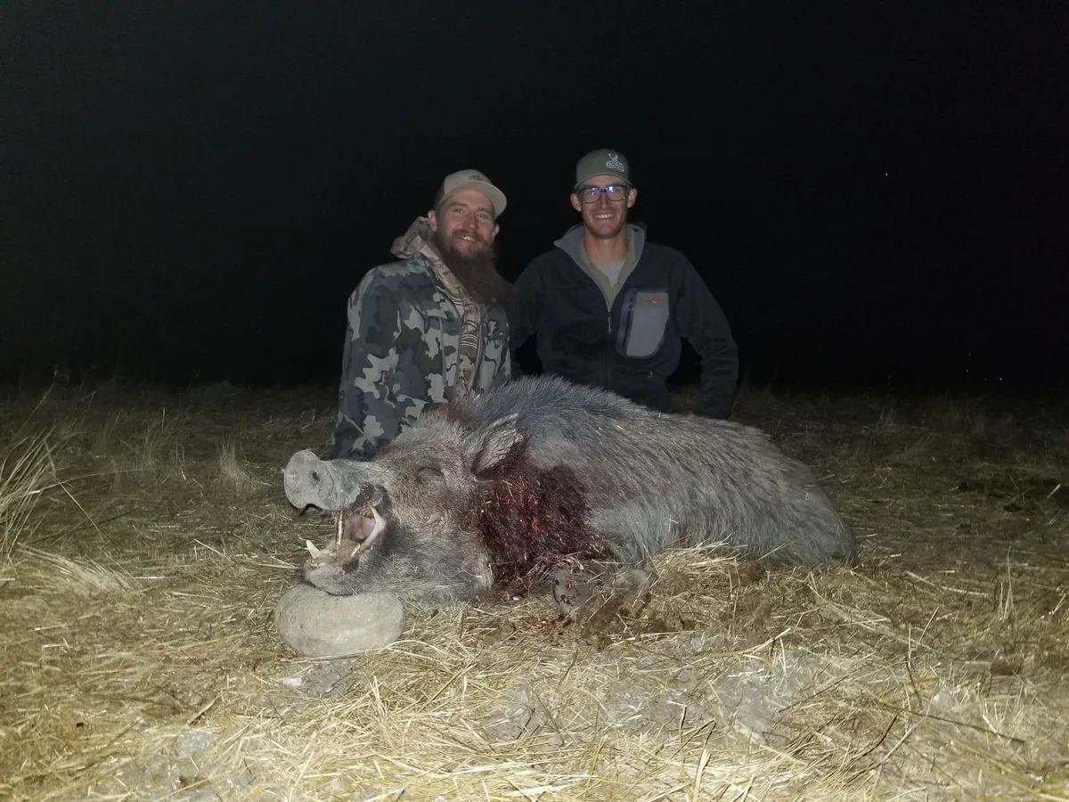 Two hunters with a boar taken on an evening hunt