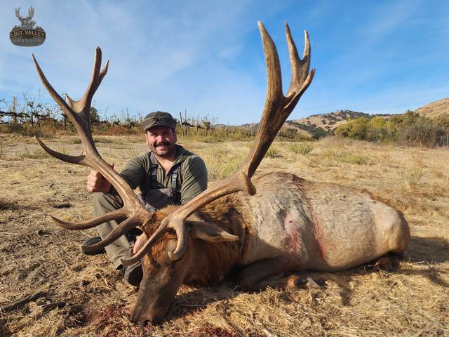 Hunter with a Tule elk bull taken on the Central Coast