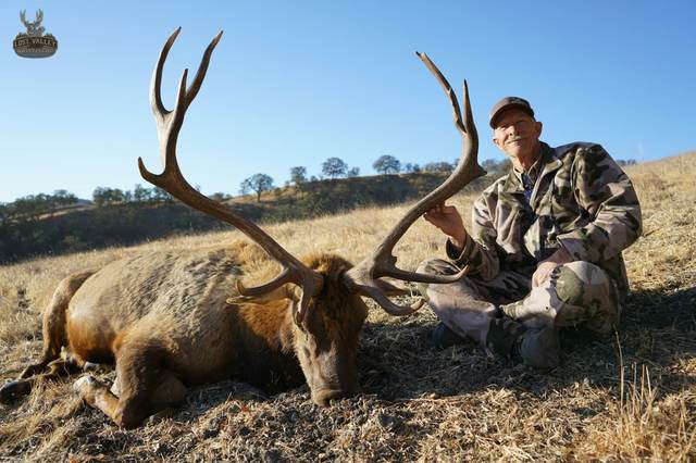 Hunter with a Tule elk bull taken on the Central Coast