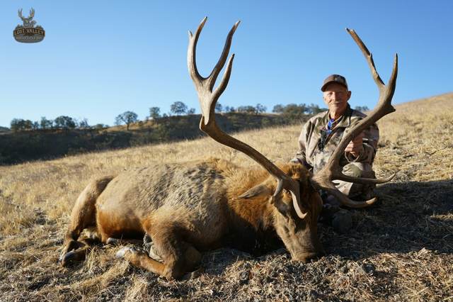Hunter with a Tule elk bull taken on the Central Coast
