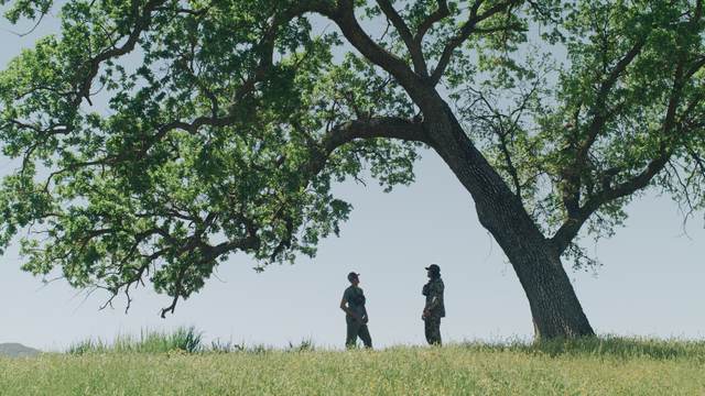 In the field with Lost Valley Outfitters on the Central Coast