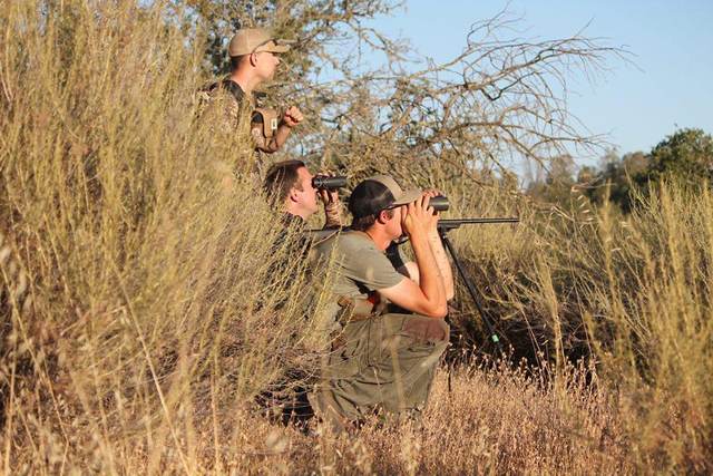 In the field with Lost Valley Outfitters on the Central Coast