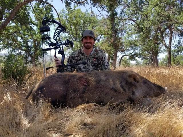 Bowhunter with a Central Coast wild boar taken spot-and-stalk