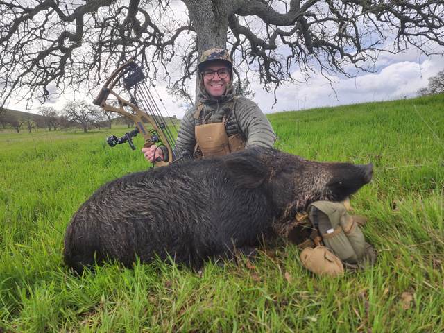 Bowhunter with a Central Coast wild boar taken spot-and-stalk