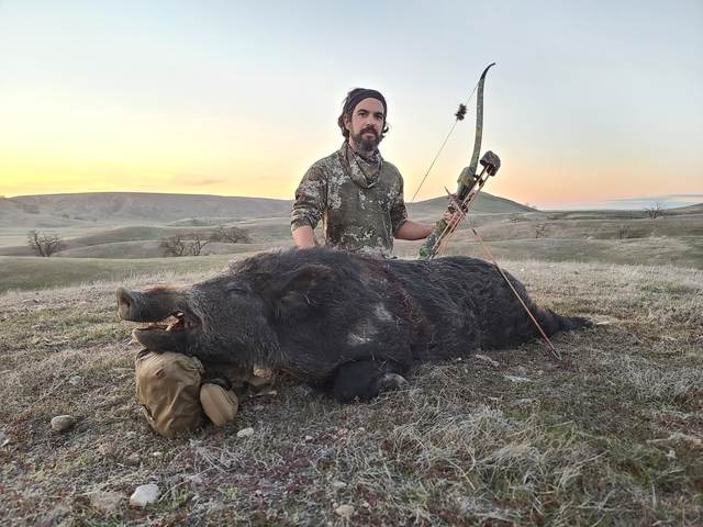 Bowhunter with a Central Coast wild boar taken spot-and-stalk
