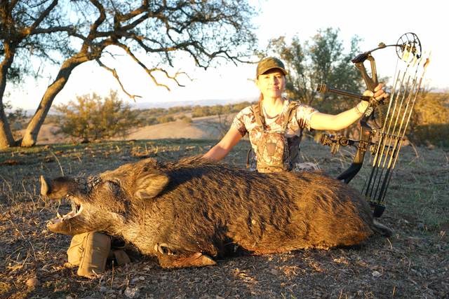 Bowhunter with a Central Coast wild boar taken spot-and-stalk