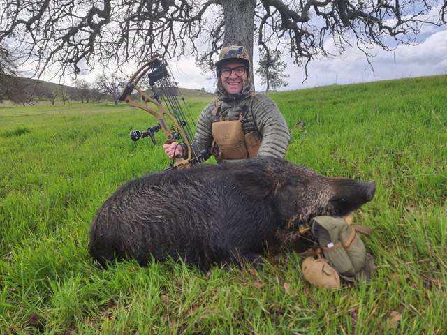 Bowhunter with a Central Coast wild boar taken spot-and-stalk