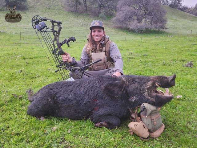 Bowhunter with a Central Coast wild boar taken spot-and-stalk