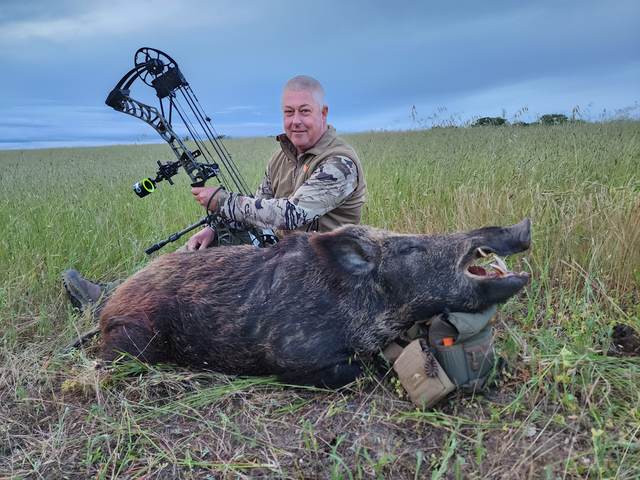 Bowhunter with a Central Coast wild boar taken spot-and-stalk