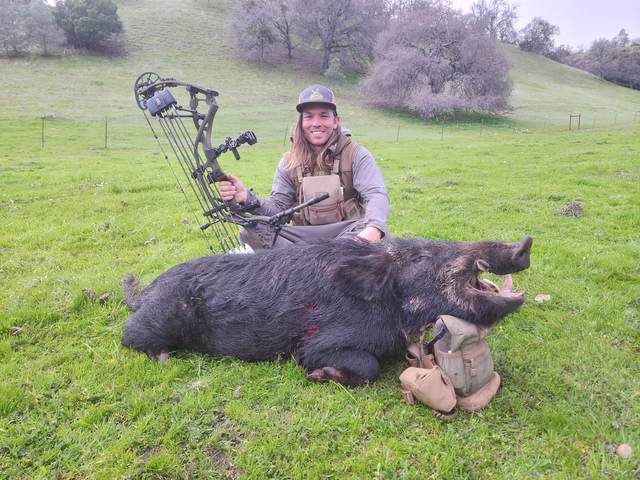 Bowhunter with a Central Coast wild boar taken spot-and-stalk