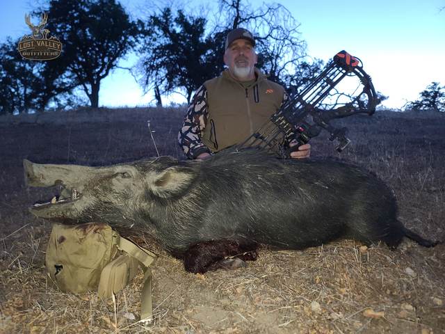 Bowhunter with a Central Coast wild boar taken spot-and-stalk