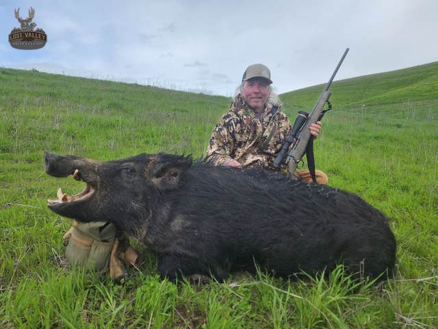 Hunter with a Central Coast wild pig taken on a guided rifle hunt