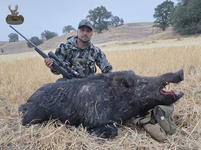 Hunter with a Central Coast wild pig taken on a guided rifle hunt