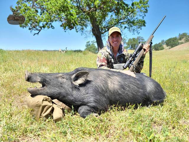 Hunter with a Central Coast wild pig taken on a guided rifle hunt