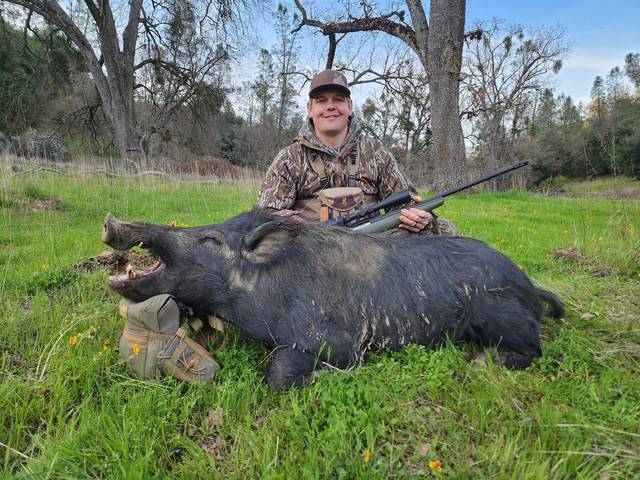 Hunter with a Central Coast wild pig taken on a guided rifle hunt