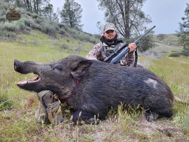 Hunter with a Central Coast wild pig taken on a guided rifle hunt