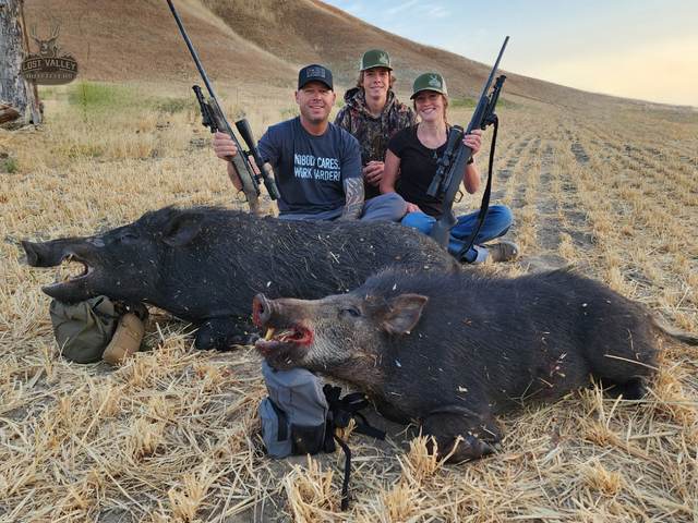 Hunter with a Central Coast wild pig taken on a guided rifle hunt