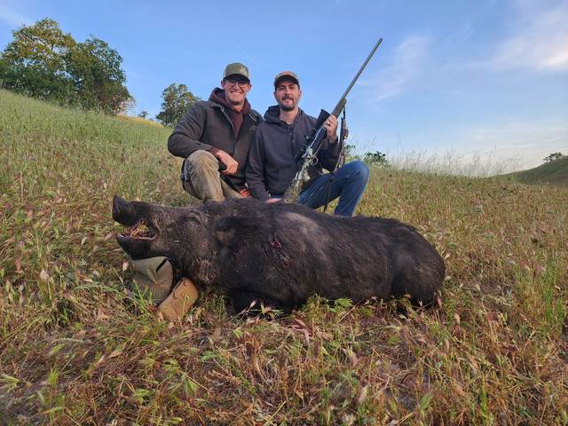 Hunter with a Central Coast wild pig taken on a guided rifle hunt