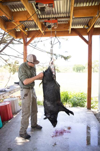 Lost Valley in-house meat processing