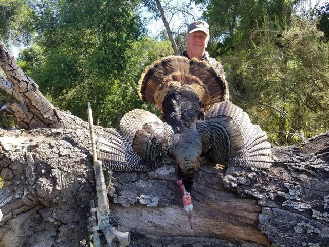 Hunter with a Rio Grande tom taken in the oaks