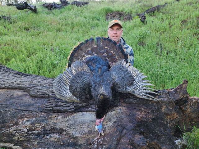 Hunter with a Rio Grande tom taken in the oaks
