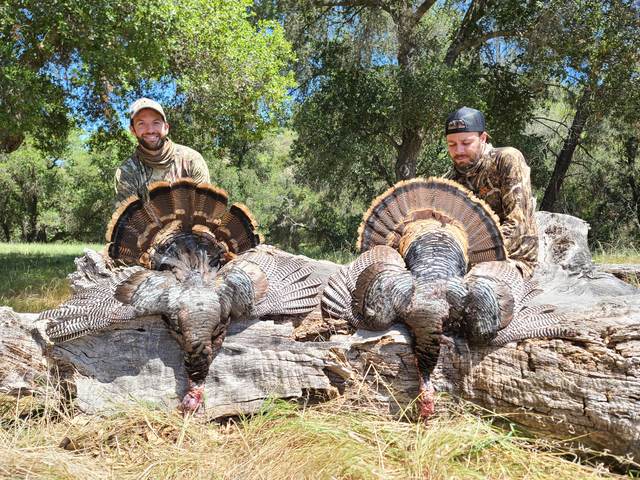 Hunter with a Rio Grande tom taken in the oaks