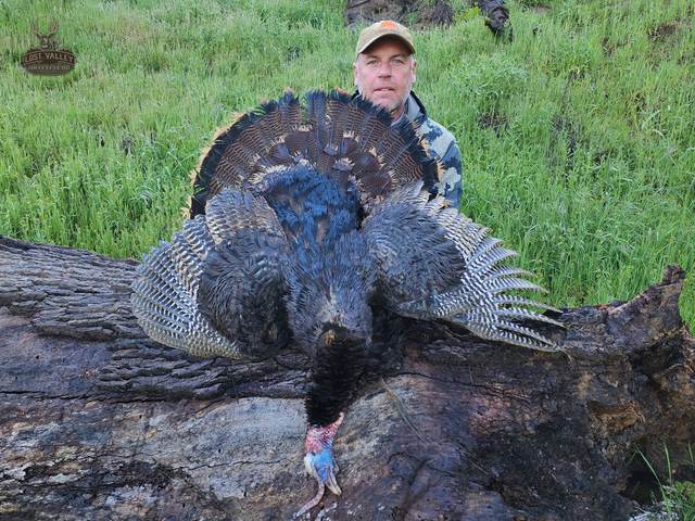 Hunter with a Rio Grande tom taken in the oaks