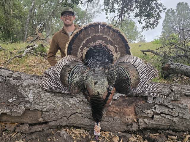 Hunter with a Rio Grande tom taken in the oaks