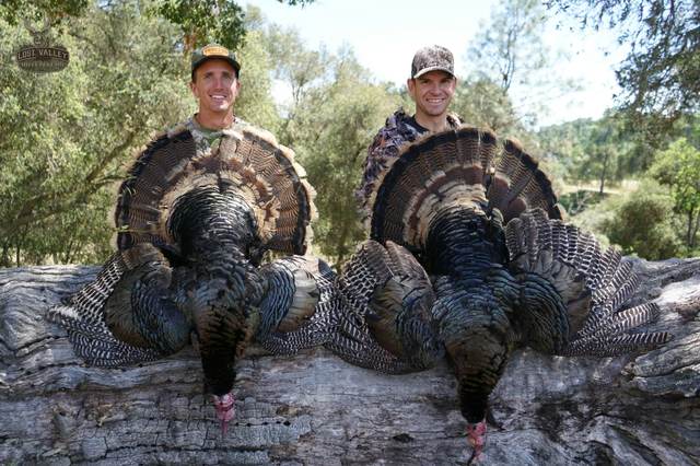 Hunter with a Rio Grande tom taken in the oaks