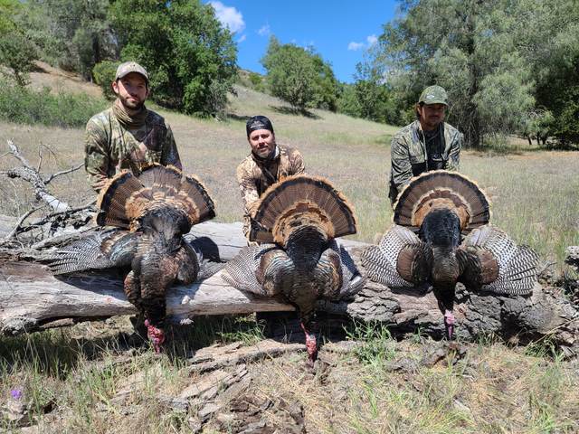 Hunter with a Rio Grande tom taken in the oaks