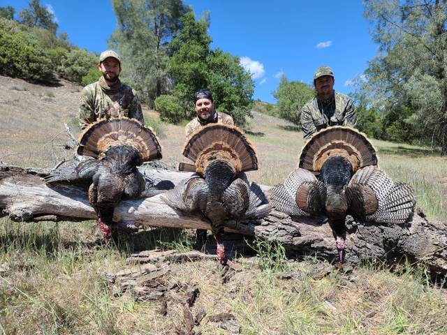 Hunter with a Rio Grande tom taken in the oaks