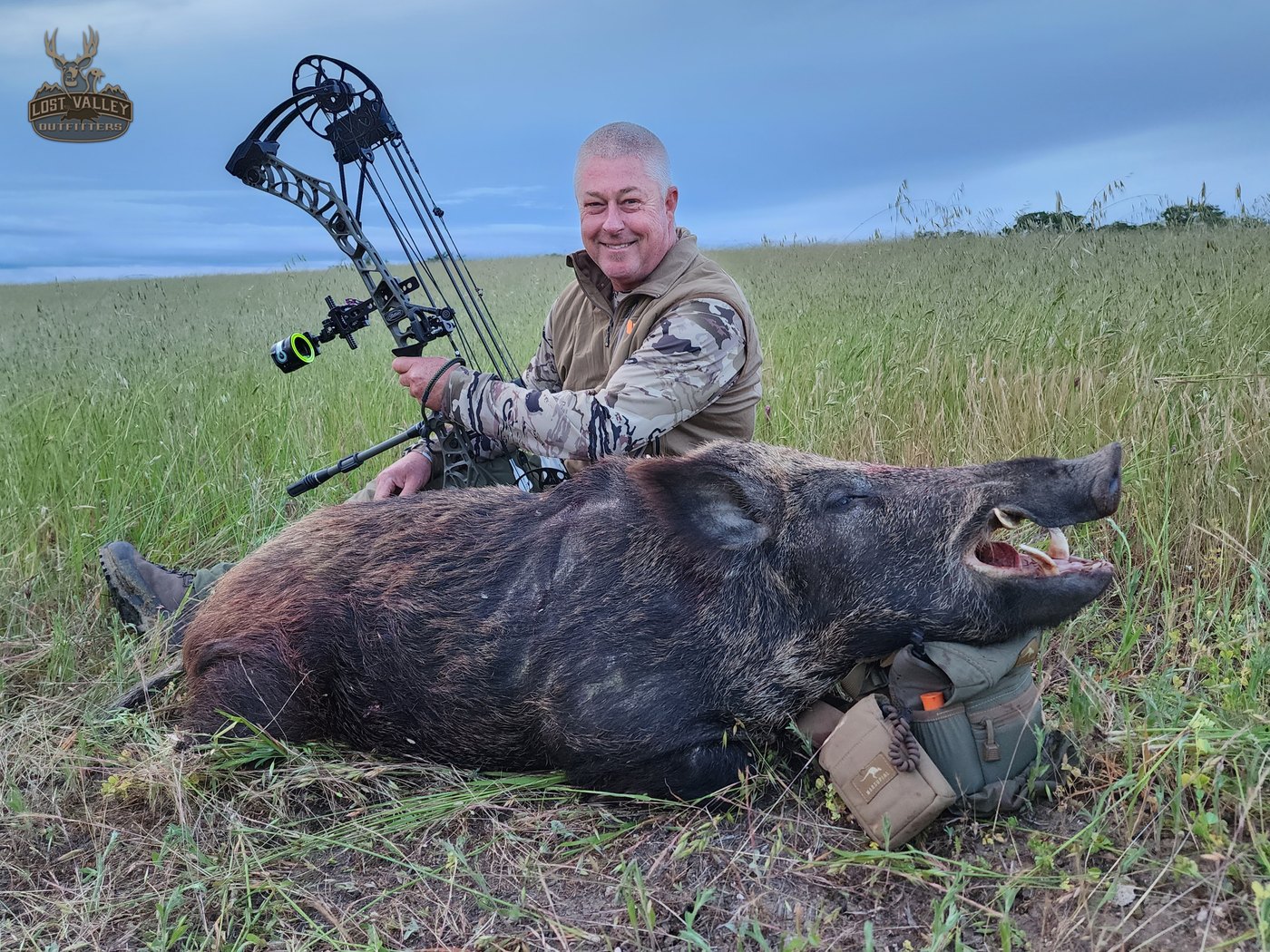 Bowhunter with a heavy Central Coast wild boar taken spot-and-stalk